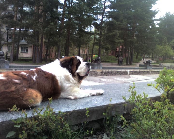 Жалуемся. Нет воды в фонтане