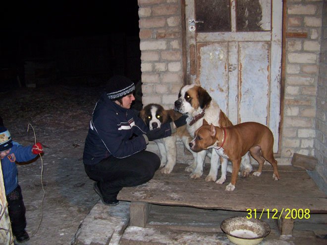 встречаем новый год