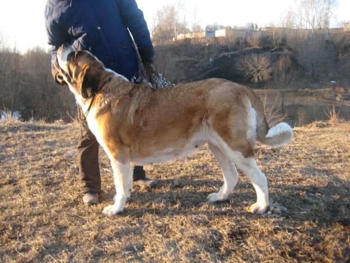 Люблю весну и ласку тоже