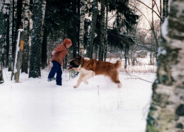 Не догонишь!