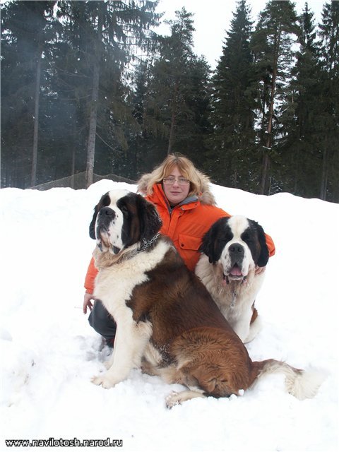 Bernegarden's Yankee Yagram & Haznavur van hof ter Quinny