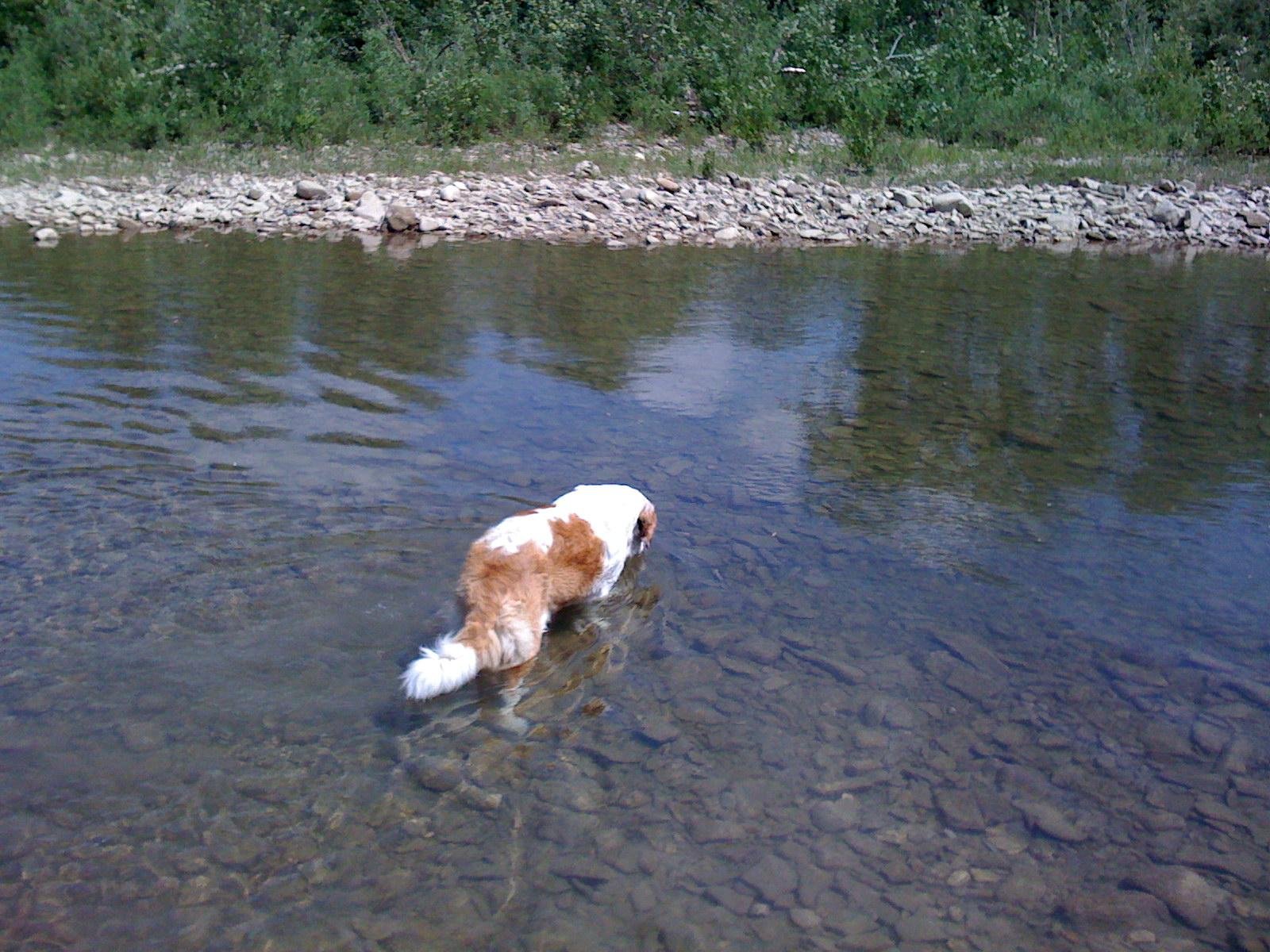 Первая проба воды 09.05.2010 - Шапсуга Краснодарский край