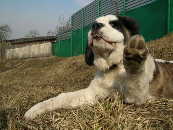 Надоело позировать! )))