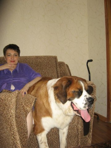 Пришли проведать