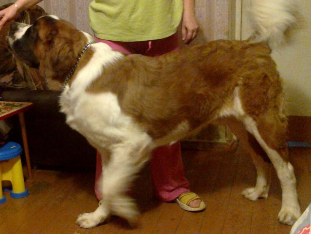 02122011063.jpg