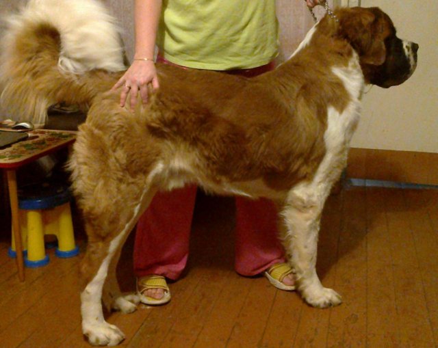 02122011062.jpg