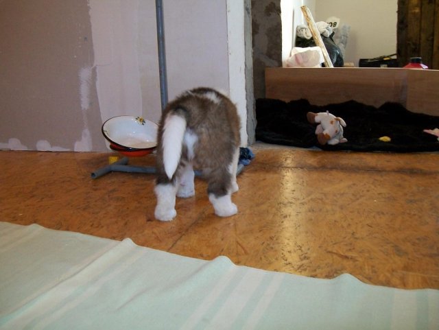 100_3007.jpg