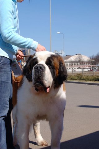 Zitars vom der Rottalhutte