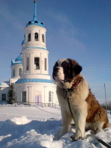 Страж...