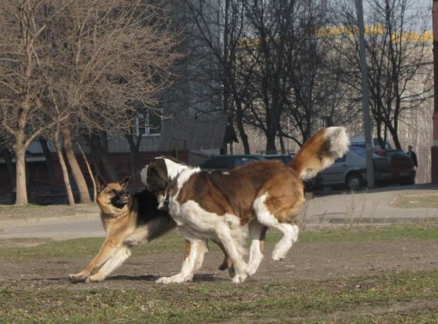 поигрушки=)