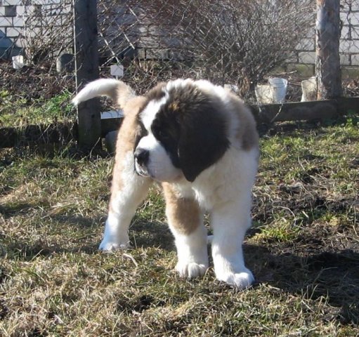 гуляем