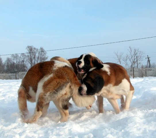  прогулка