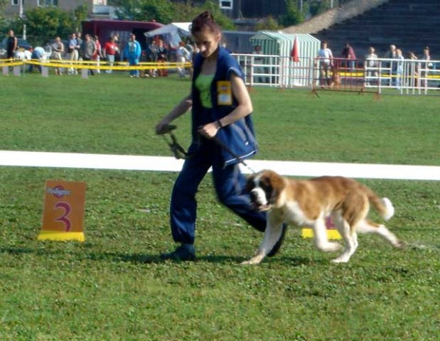 CACIB - "Господин Великий Новгород - 2006"