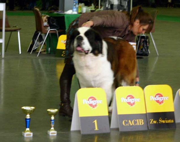 1-отл. СACIB, WW-06 LASQUITE’S DAKOTA VON ICEMAN 24.10.2001