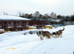 Ури и Деви