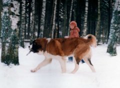 Не дам палку, а то опять ищи ее в сугробах потом!