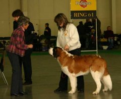 World Dod Show - 2006