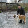 Первые морозы (9 мес)