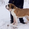 Хаус Стесси Квин оф Спейдс