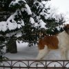 DSCN2562.JPG