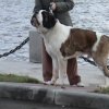 на фоне финского залива в Питере
